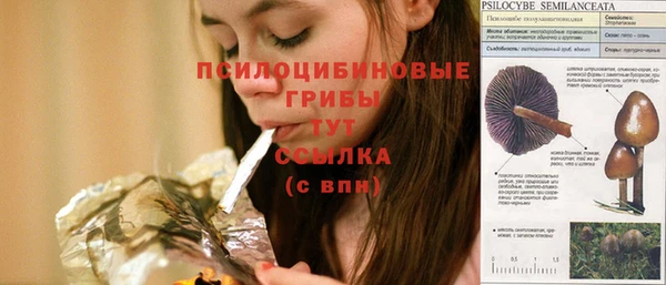 амфетамин Медвежьегорск