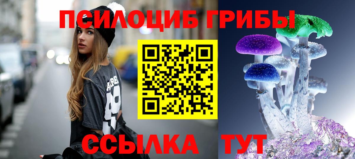 купить   Галлюциногенные грибы ЛСД  Вход с VPN  Электрогорск 